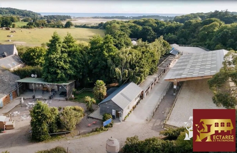 Photos 1 - Équestre - Centre équestre en activité bord de mer