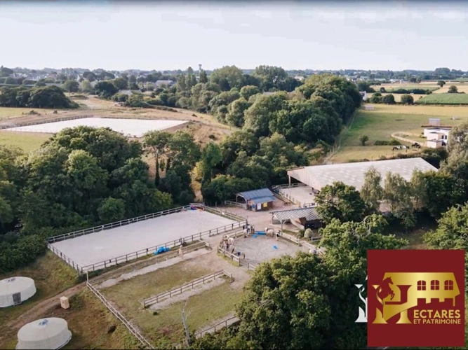 Photos 3 - Équestre - Centre équestre en activité bord de mer