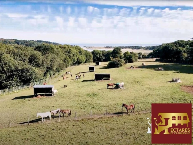 Photos 4 - Équestre - Centre équestre en activité bord de mer