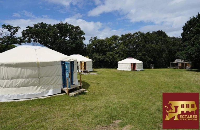 Photos 5 - Équestre - Centre équestre en activité bord de mer