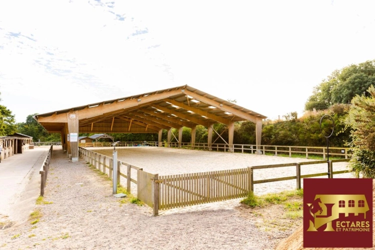 Photos 7 - Équestre - Centre équestre en activité bord de mer