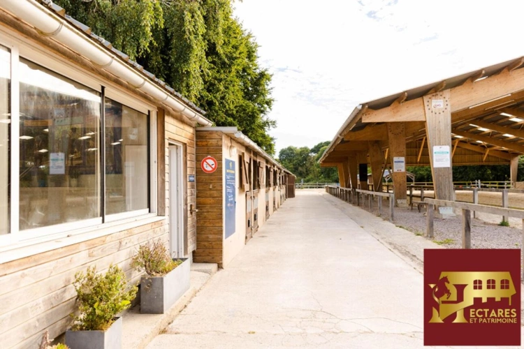 Photos 8 - Équestre - Centre équestre en activité bord de mer