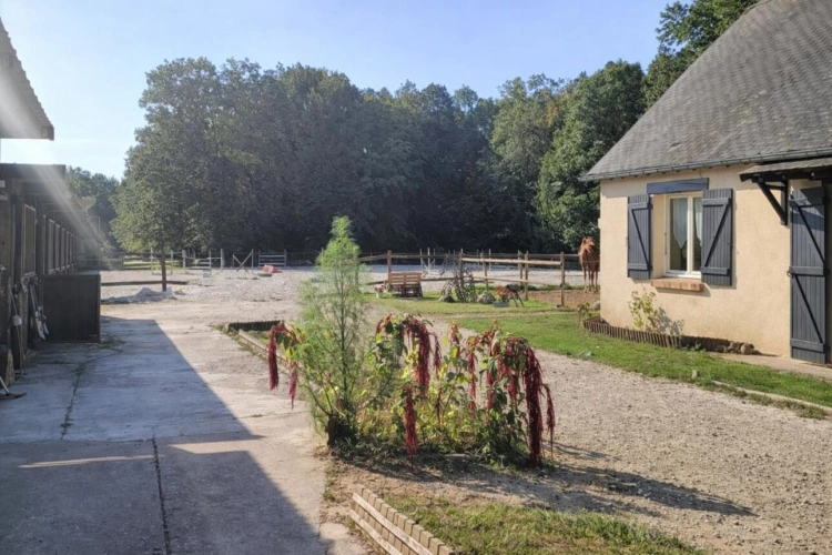 Photos 3 - Équestre - NOUVEAUTE Propriété équestre proche Paris