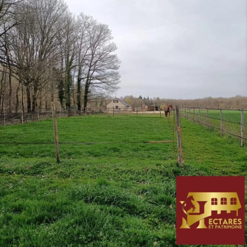 Photos 4 - Équestre - NOUVEAUTE Propriété équestre proche Paris