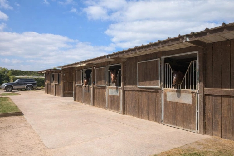 Photos 5 - Équestre - NOUVEAUTE Propriété équestre proche Paris