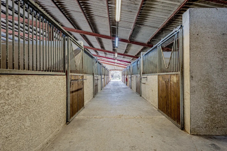 Photos 10 - Équestre - Ecurie à forte rentabilité - Activité de transit