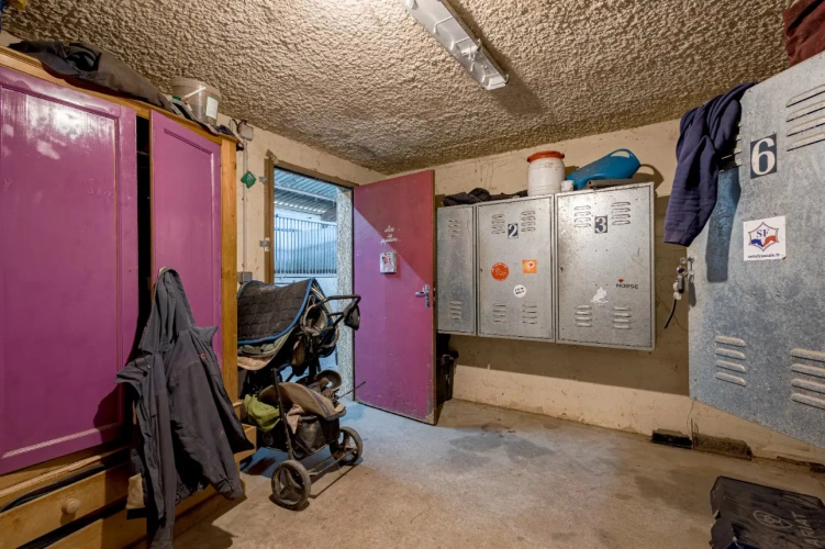 Photos 11 - Équestre - Ecurie à forte rentabilité - Activité de transit