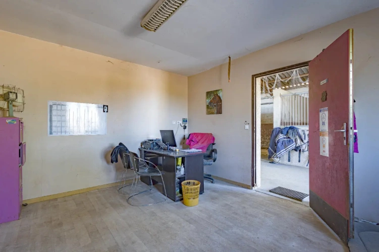 Photos 12 - Équestre - Ecurie à forte rentabilité - Activité de transit