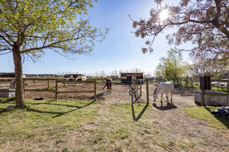 Photos 13 - Équestre - Ecurie à forte rentabilité - Activité de transit