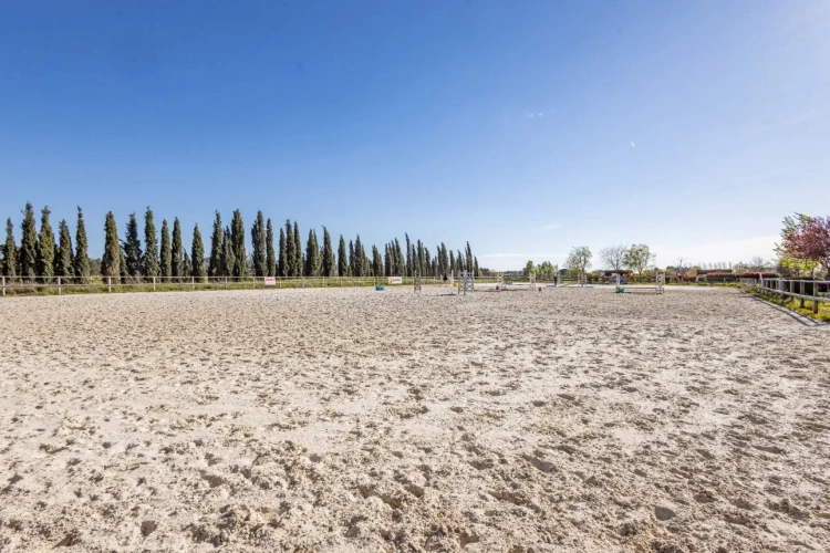 Photos 1 - Équestre - Ecurie à forte rentabilité - Activité de transit