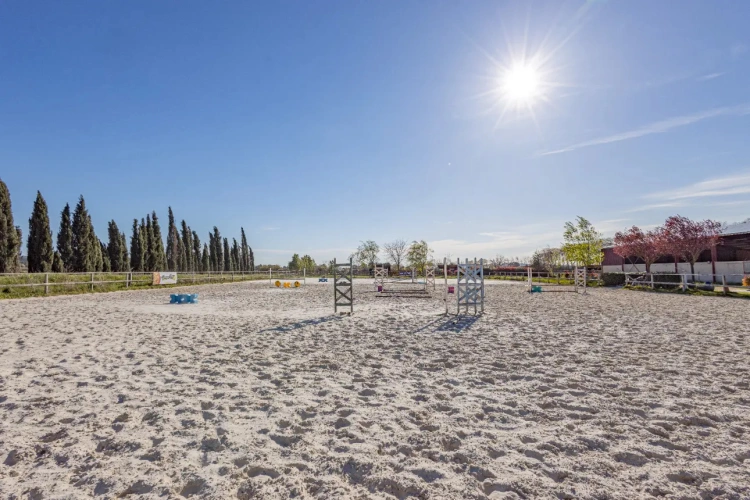 Photos 2 - Équestre - Ecurie à forte rentabilité - Activité de transit