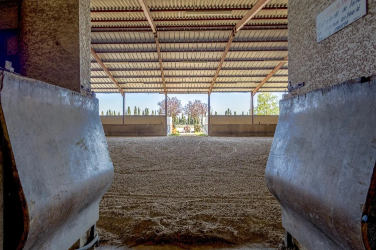 Photos 3 - Équestre - Ecurie à forte rentabilité - Activité de transit