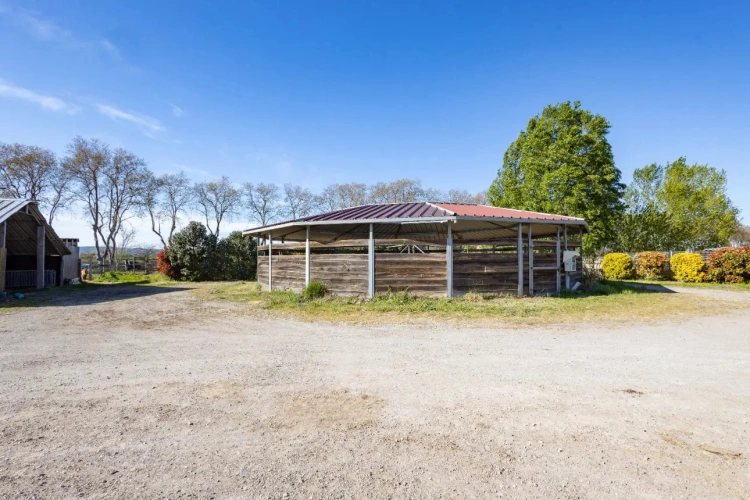 Photos 6 - Équestre - Ecurie à forte rentabilité - Activité de transit