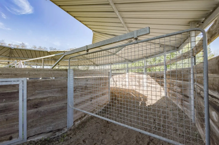 Photos 7 - Équestre - Ecurie à forte rentabilité - Activité de transit