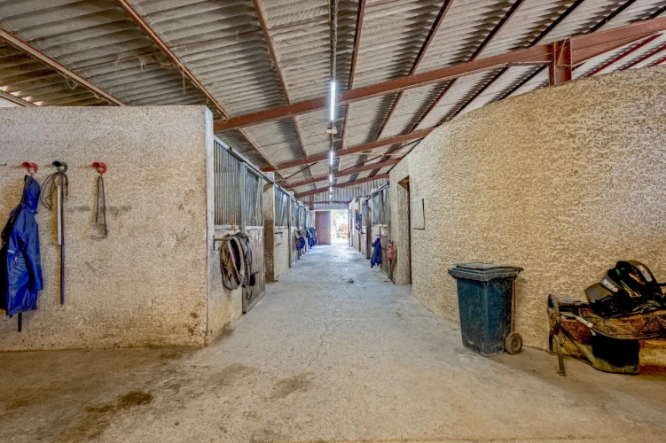 Photos 9 - Équestre - Ecurie à forte rentabilité - Activité de transit