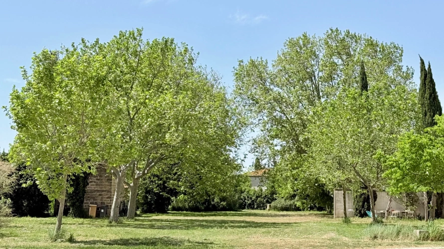 Photos 10 - Prestige - Mas Provençal d'Exception aux Portes d'Arles