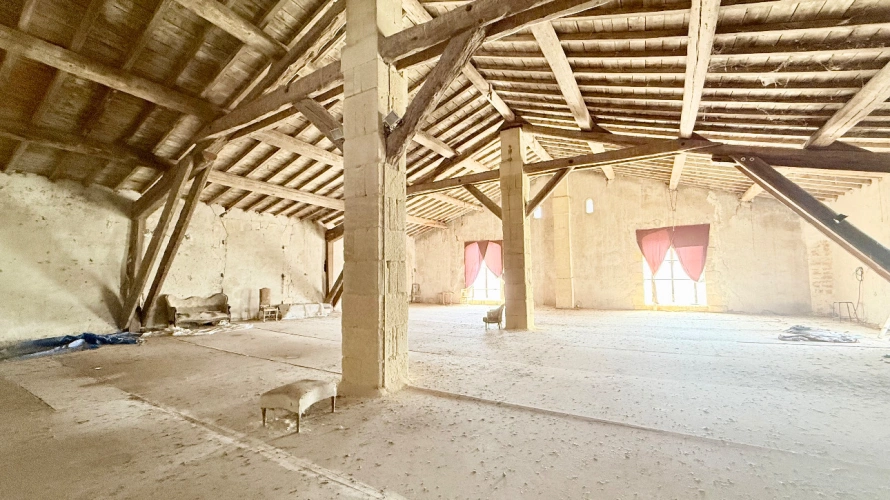 Photos 11 - Prestige - Mas Provençal d'Exception aux Portes d'Arles