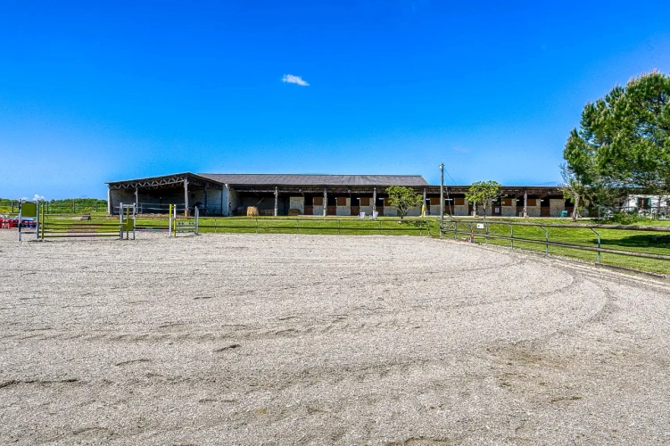 Photos 4 - Équestre - Poney club et gîte équestre