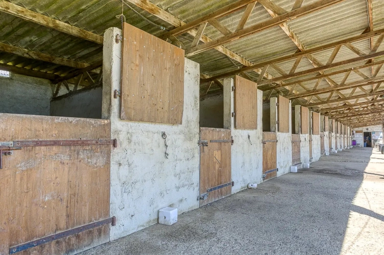 Photos 6 - Équestre - Poney club et gîte équestre