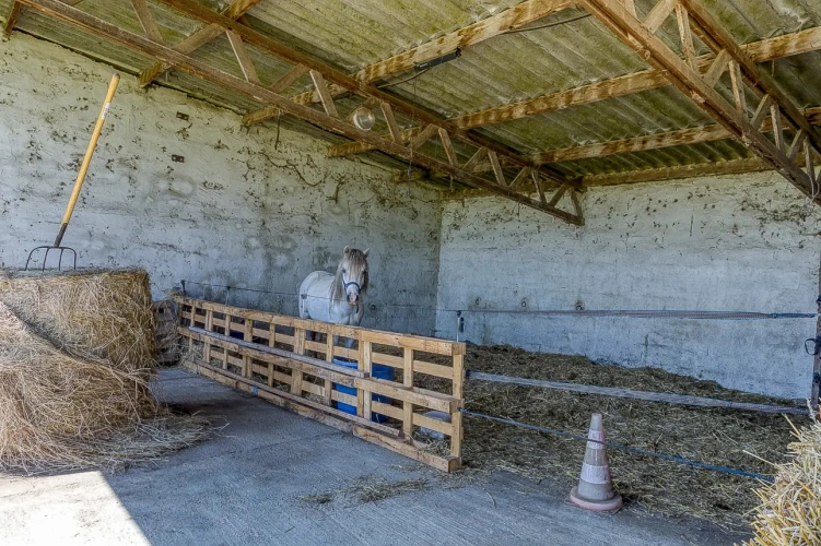 Photos 7 - Équestre - Poney club et gîte équestre