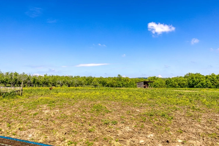 Photos 9 - Équestre - Poney club et gîte équestre