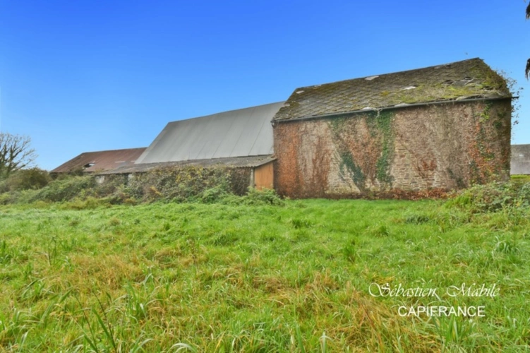 Photos 18 - Rurale - Propriete à vendre 10 pièces (35) LA BOUSSAC en Baie du Mont Saint Michel - 11 600 M² de terrain