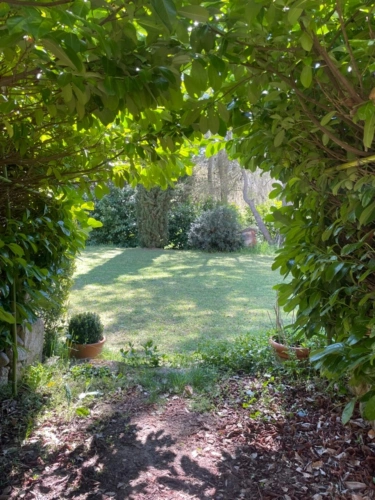 Photos 9 - Prestige - Maison de Maître 10 pièces sur 3 hectares proche Manosque , entre campagne et champs de lavandes