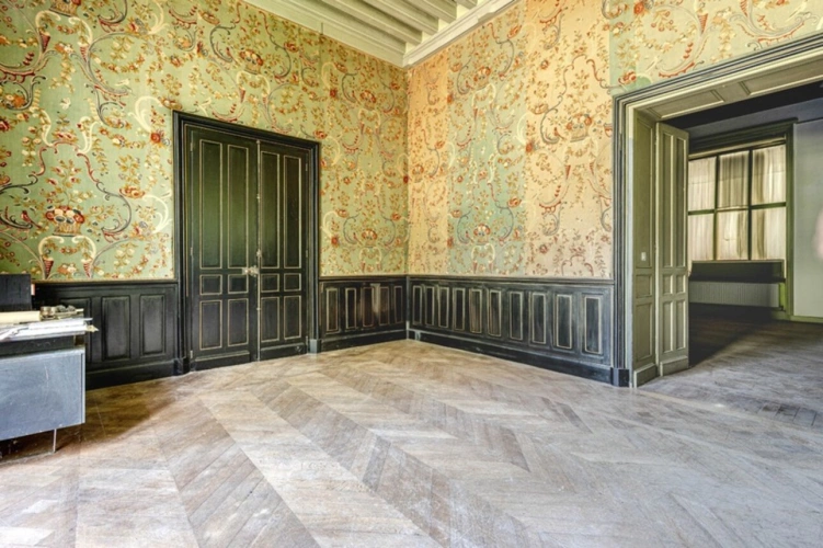 Photos 3 - Prestige - Château à vendre