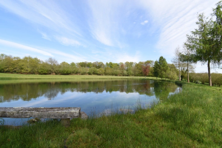 Photos 1 - Forestière - Deux Etangs à GER 50850