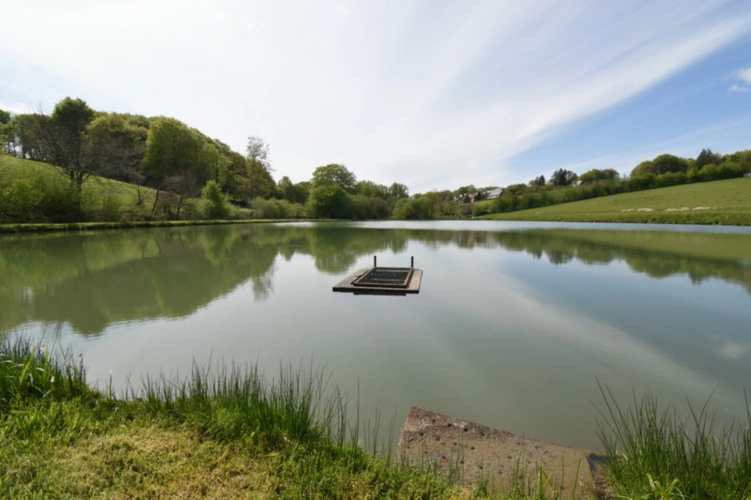 Photos 3 - Forestière - Deux Etangs à GER 50850