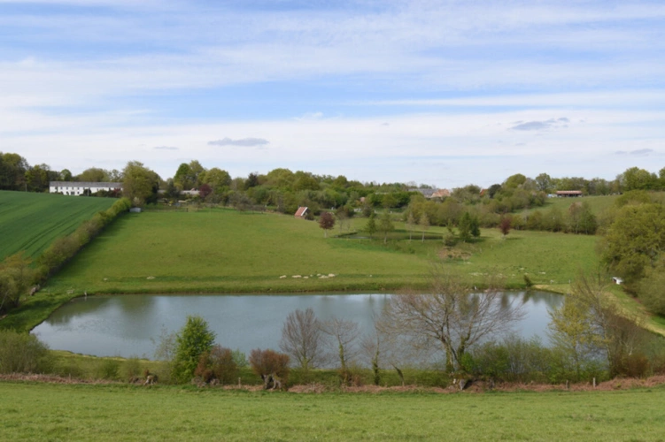 Photos 4 - Forestière - Deux Etangs à GER 50850