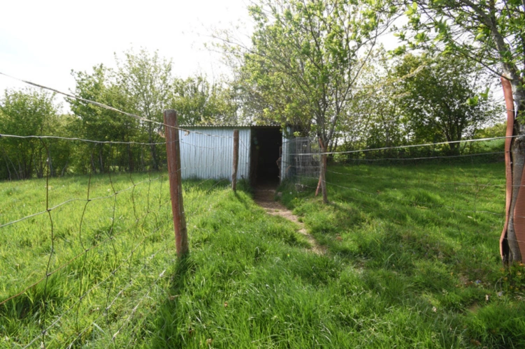 Photos 12 - Forestière - Deux Etangs à GER 50850