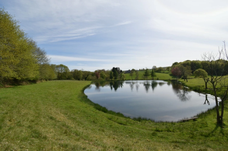 Photos 13 - Forestière - Deux Etangs à GER 50850