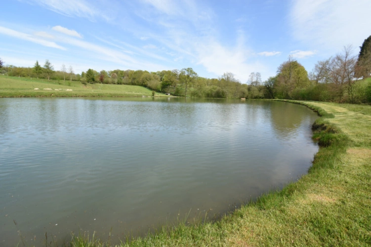 Photos 15 - Forestière - Deux Etangs à GER 50850