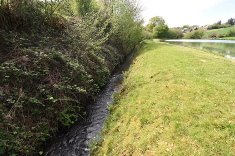 Photos 16 - Forestière - Deux Etangs à GER 50850