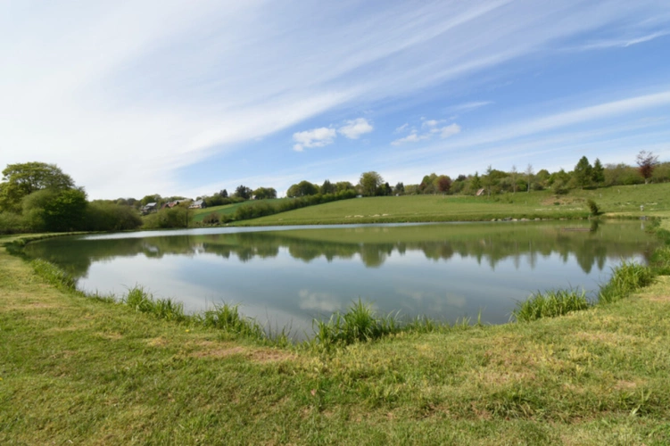Photos 17 - Forestière - Deux Etangs à GER 50850