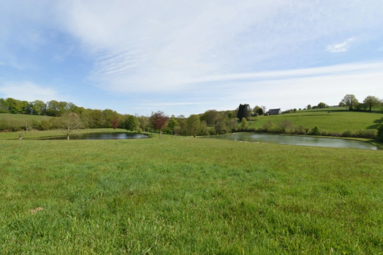 Photos 18 - Forestière - Deux Etangs à GER 50850