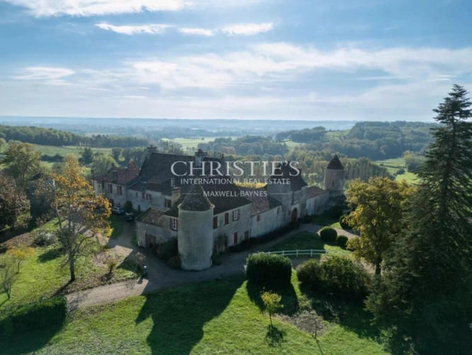 Photos 2 - Viticole - Près de Saint-Emilion - Exceptionnel domaine viticole comprenant un Château historique entouré de 111 ha dont 7 ha de vignes, parc avec piscine et tennis