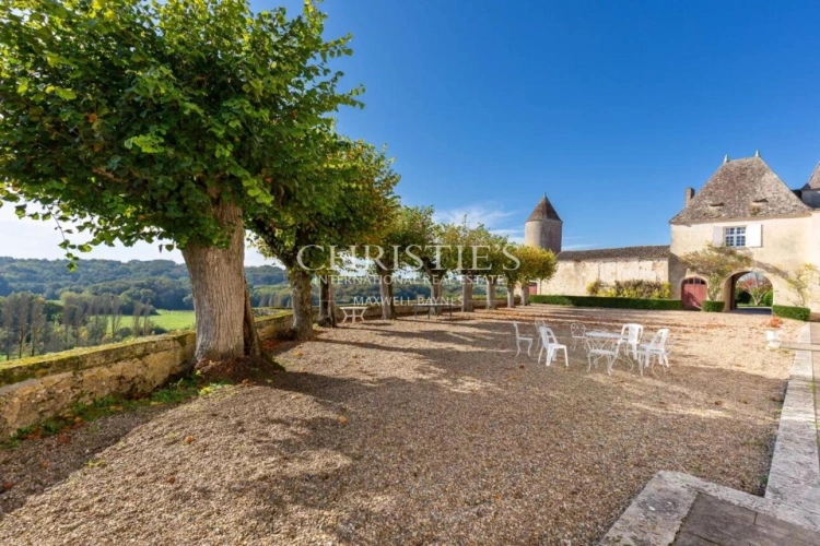 Photos 6 - Viticole - Près de Saint-Emilion - Exceptionnel domaine viticole comprenant un Château historique entouré de 111 ha dont 7 ha de vignes, parc avec piscine et tennis