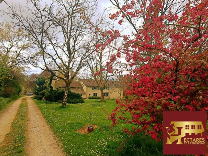 Photos 2 - Équestre - Propriété équestre - Maison avec 2 gîtes - 10 hectares - source