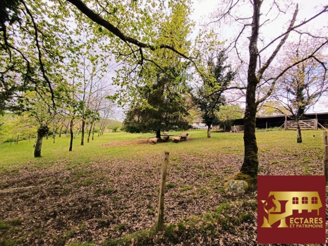 Photos 4 - Équestre - Propriété équestre - Maison avec 2 gîtes - 10 hectares - source