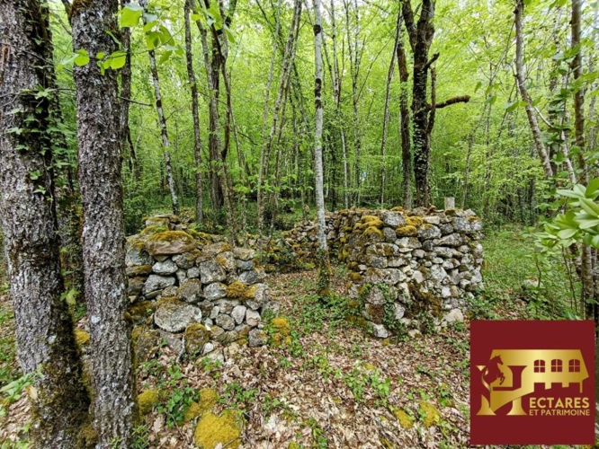 Photos 5 - Équestre - Propriété équestre - Maison avec 2 gîtes - 10 hectares - source