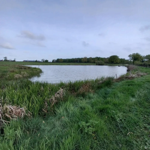 Photos 18 - Rurale - Grange rénovée sur 4 ha de terrain, avec hangar et étang