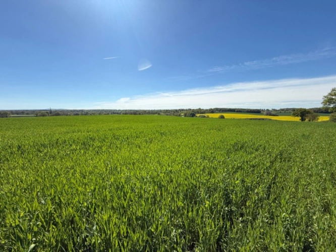 Photos 1 - Agricole - Exploitation céréalière de 546 ha à vendre Allier