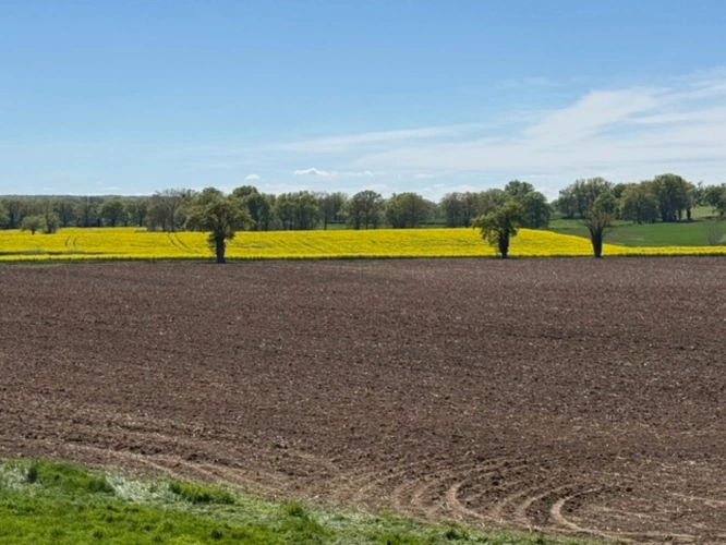 Photos 3 - Agricole - Exploitation céréalière de 546 ha à vendre Allier