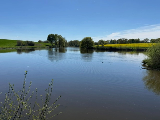 Photos 4 - Agricole - Exploitation céréalière de 546 ha à vendre Allier