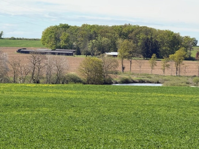 Photos 5 - Agricole - Exploitation céréalière de 546 ha à vendre Allier