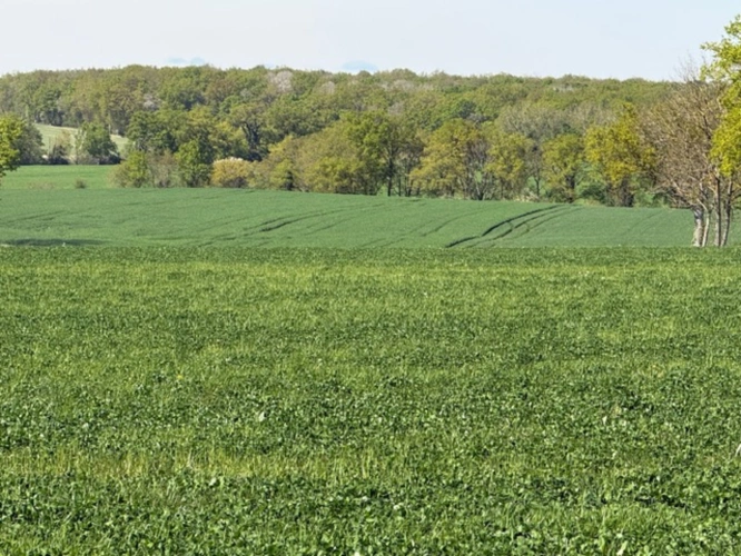 Photos 6 - Agricole - Exploitation céréalière de 546 ha à vendre Allier