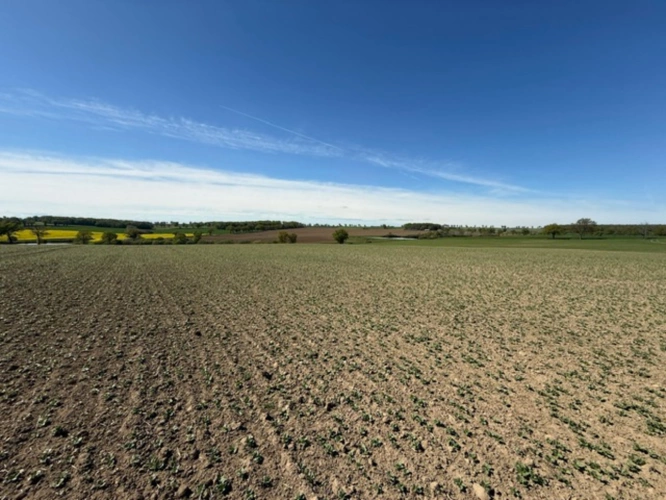 Photos 9 - Agricole - Exploitation céréalière de 546 ha à vendre Allier