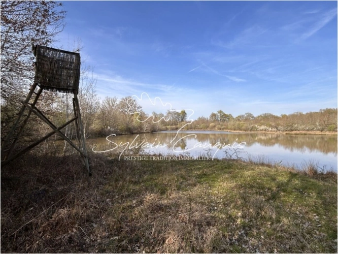 Photos 1 - Prestige - Propriété de Chasse et d'Agrément de 125 hectares en Sologne